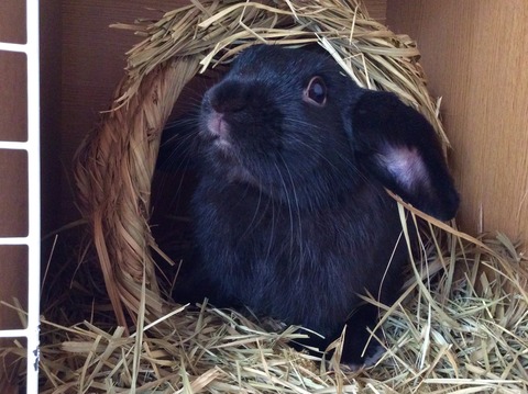 358D991B-7D20-4E01-980D-B2A6481BEE0F