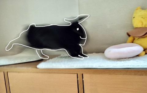 614BB1EC-4A70-4220-B1C9-B0E60E5D60F8