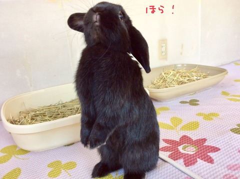 6A55864C-C30F-4377-A066-4AFF2B103400