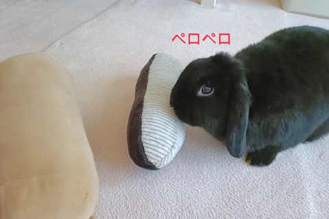 99120D65-6AA1-4BC8-A1ED-B61BA41719A3