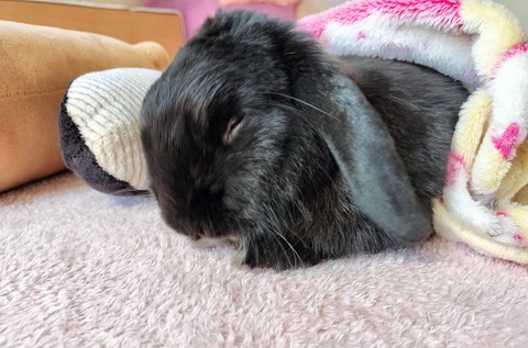 7D6031A0-1913-4A22-A664-911AC792D9A6