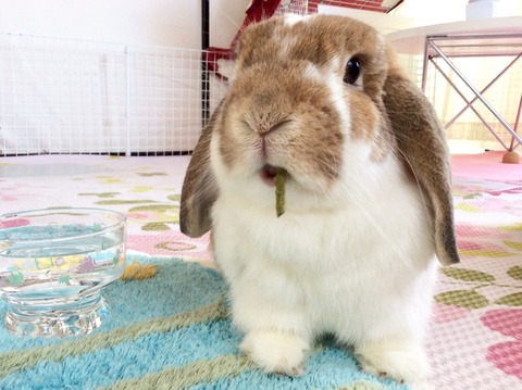 0CEC6628-ED77-46BC-BE6E-D152FE08EC25