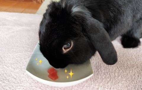 547662B0-907F-4BD9-B99B-B30E14DBE01B