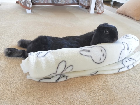 5CDE8259-32BD-4D5C-8864-A5D5C78FA07B