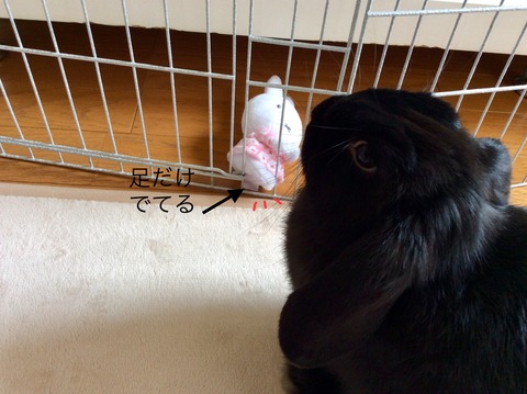 4A920E66-CE26-4400-9410-0A1BE8F7FFAA