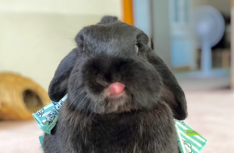 13579BA0-6851-4189-8CC6-23A4629D038A