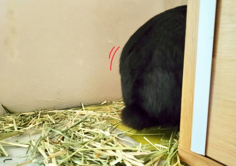 3AC5F321-DEDC-4BC9-AF4E-55648E3D391C