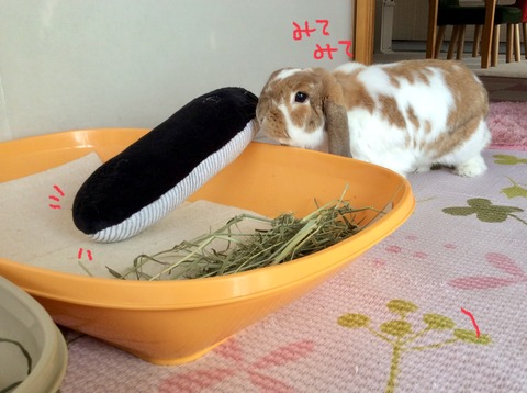 37B44C87-763B-4F0B-8314-9DECE45FB891