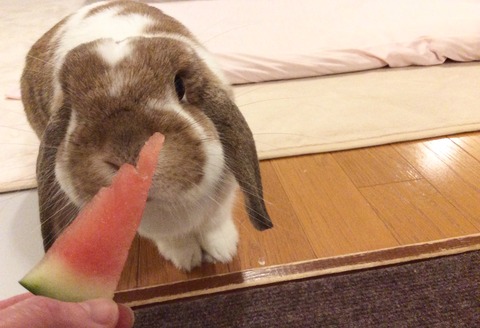 45EEB05C-0D04-4BDB-B19A-B3FC77EAF647