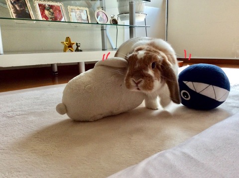 587E89EF-A01B-41FB-94BC-3C00B32F3898