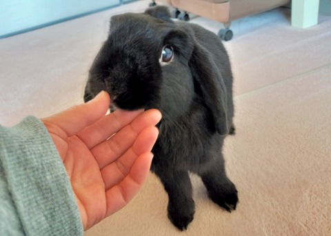 CC9DC27F-40E2-4386-A2E4-332205159210