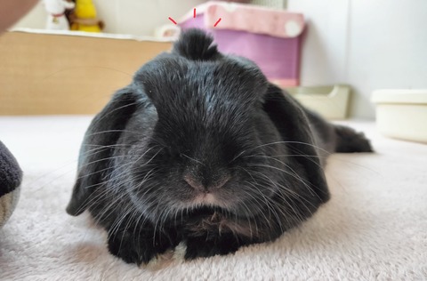 8EC2532D-C2D4-408B-94AB-6CEE9B70067C