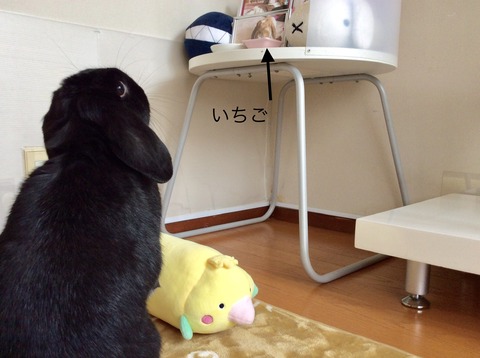 F0C27772-3514-495A-817B-6FFFFC11513E