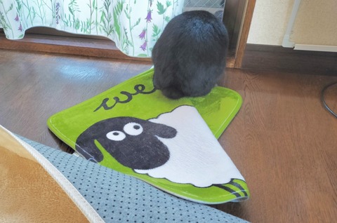 8D751EEC-984E-44E2-B0BE-937C64C93DB9