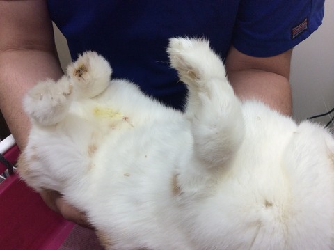 919C2A56-E306-4CC7-82DF-EEFA811FB0A5