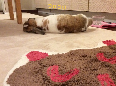 F8AEAFA9-D982-44CB-8A3D-AD548B2FD896