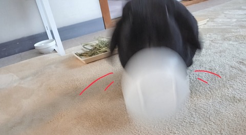 51AFD990-690D-4A30-BB27-EC9259E35D70