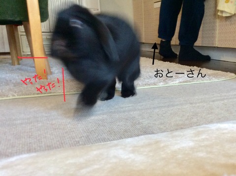 8060DE8A-920A-4575-99FA-0244F1A4E15D