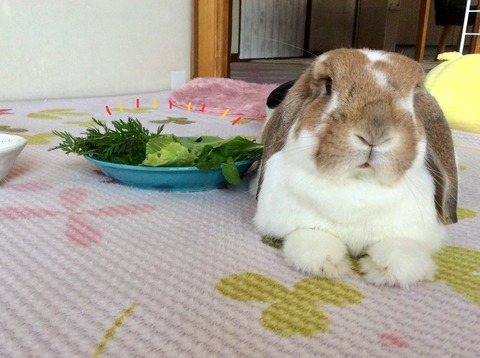 8F96A6B1-A753-4B69-A1E5-872FE91A08A1