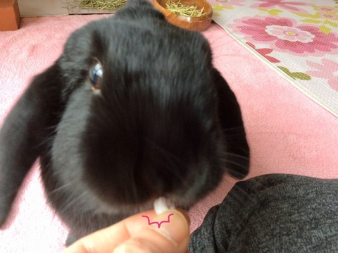 E0ECD52B-7401-48D7-9709-861353BD07ED