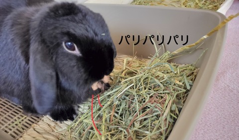 0FA81D33-4B9E-4D94-8321-FDE71B396664