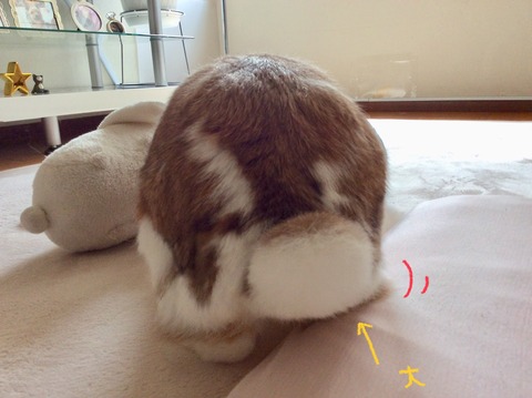 E119E3C1-2940-471E-A79C-AC5C6673E839