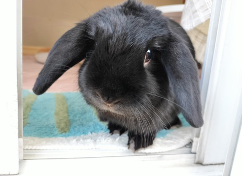 240C3D95-A228-41AE-A7A3-573A3B713875