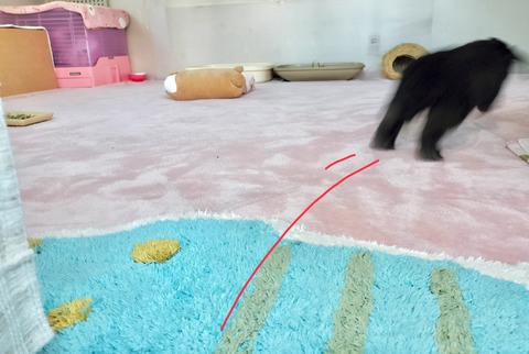 B1302010-79B5-447E-96D4-E00F2B24381A