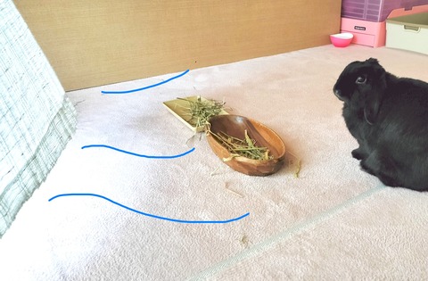 A7145D4D-D567-4C46-AE0D-850635387BF6