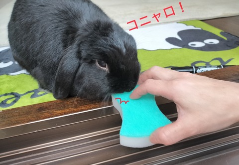 12169361-5DDB-4F8B-B2AE-4435525C27E2