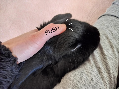 B664ABB0-2C1C-41B3-AD9E-F87B23510E4B