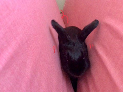 EA43A299-9C9A-4B75-BA2A-83C5CFEB546E