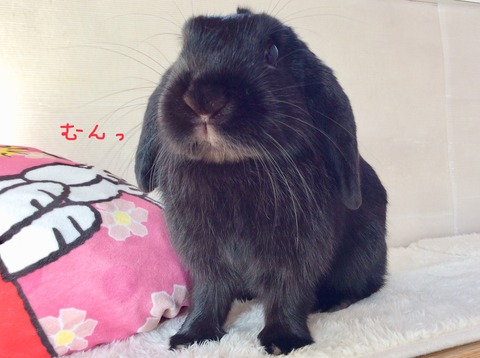 0B942741-6B15-4DA1-AC9E-1EC4B4EA4475