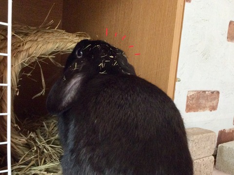 5D7D7CC6-E58D-4D20-BEFF-A7FCD0E4A24F