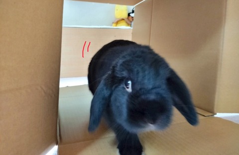 57086608-AE54-4568-83C3-2192F2F84149