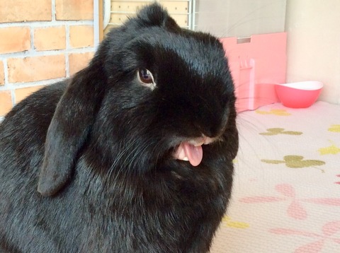 B23E080D-2116-4DEB-8314-5A0723DEEC60