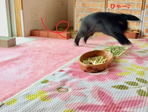 73E0002A-38F0-4960-9DB5-EB95D2B1E420