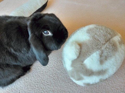 874494E2-DC70-45CB-B63C-1364AE5BAD8D