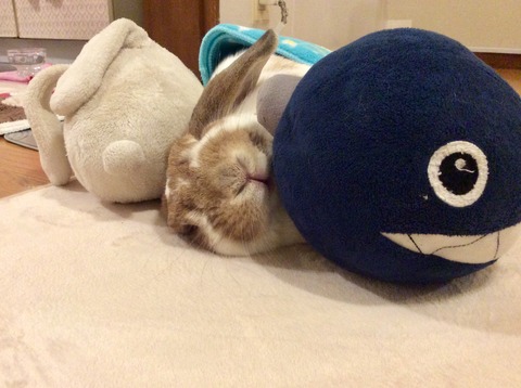 ECE92D46-BB31-4154-876C-4351BAAEE8DC