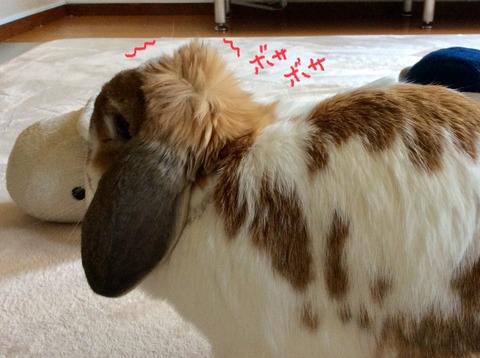 310D6E14-B063-4E97-AFCC-506BD21FB328