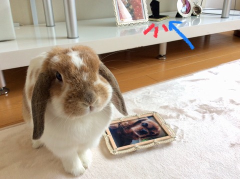 1FCEFA10-EBDE-4B42-A5EF-C762A2EC1864