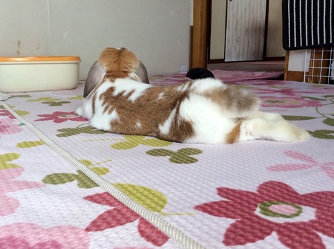 CE692C60-4FF5-4BBD-B4BB-922BAAEB763E