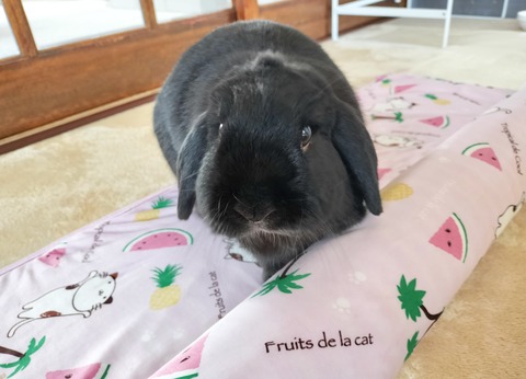 9CA5699C-25B0-4853-871D-F698F4004B59