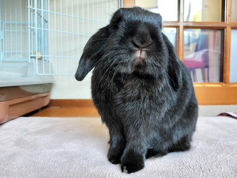 ACDF9091-50E0-48E5-A456-E528BE53F73D