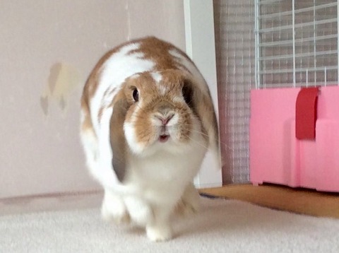 849CA8F4-3923-4548-8EB4-252C32CAA816