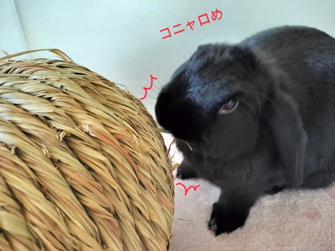 E35A56C4-7992-4A2C-8650-19F9E7BC7B47