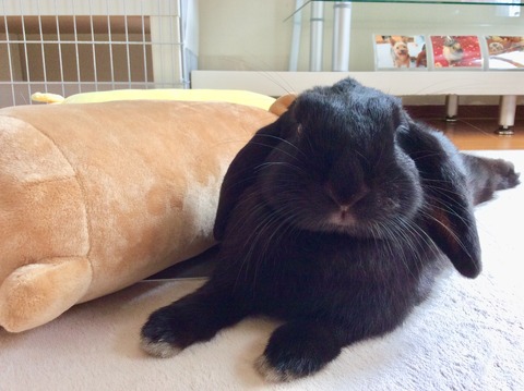 6EC7383F-89D2-4F3E-9AB2-051E9C288368