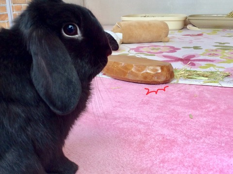 52D98350-1583-409C-9ACF-CF396D11C873