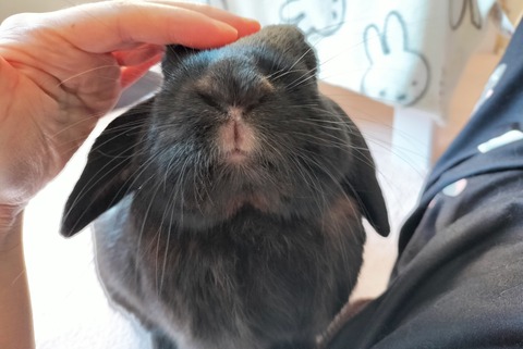 2581D543-B867-4775-89F4-500481AF7AA9