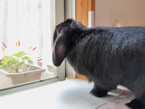 43560258-D544-4C8C-857E-4F4CF11DE176